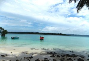 Andaman Nicobar Island Guide Contact Details