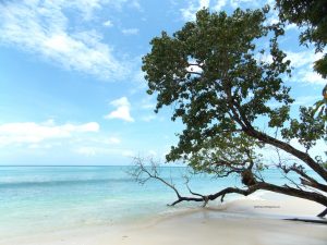 people of andaman. Radha nagar beache, beautiful beaches of india, indian beaches, andaman