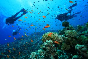 scuba-diving-experience-havelock , Scuba diving in india, havelock island, andaman and nicobar island