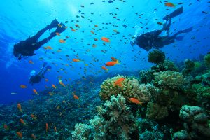  Best Scuba Diving place India 