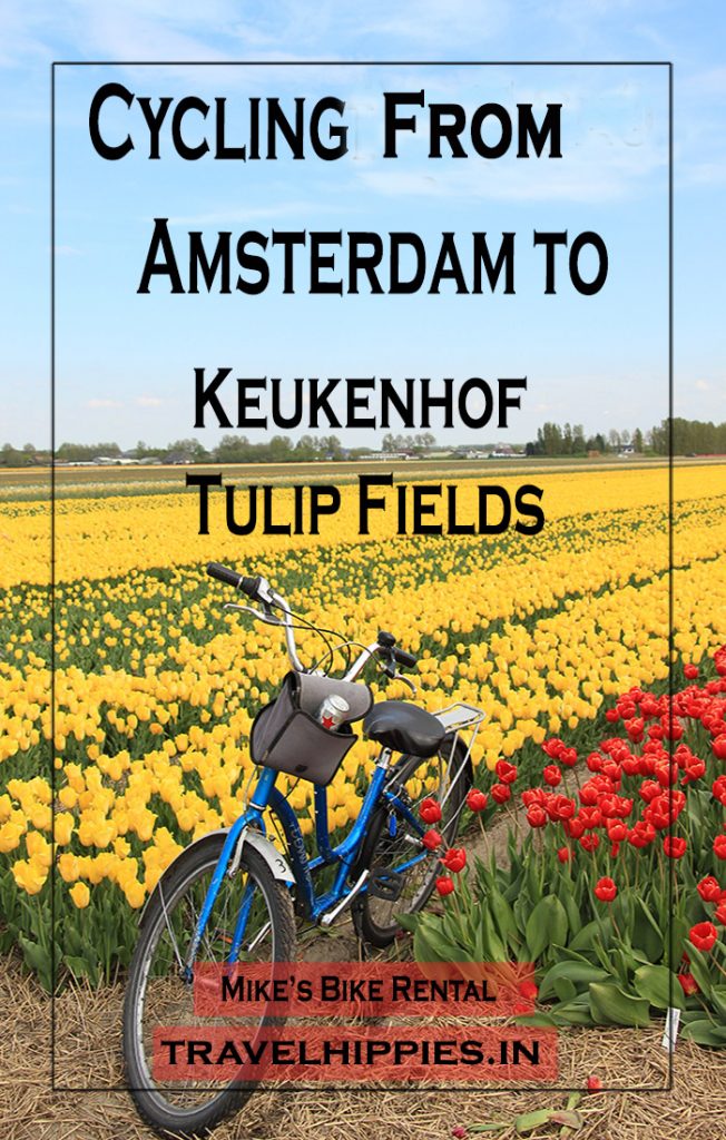 cycling from Amsterdam to Tulip Fields Keukenhof